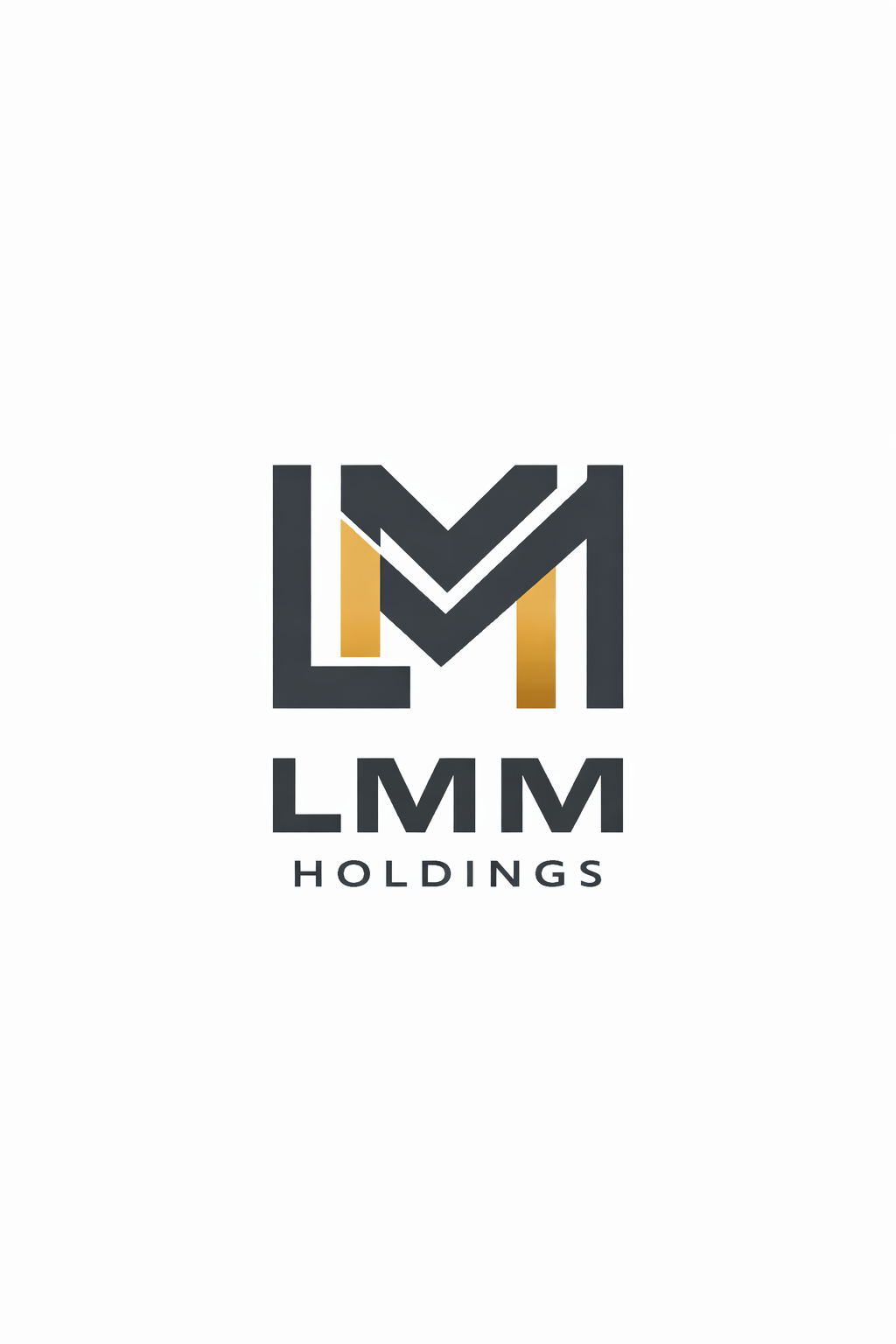 LMM Holdings